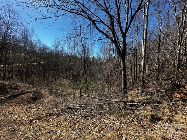 00 Grace Ridge Road, Bakersville, NC 28705