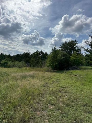 109 Pintail LN, Paige, TX 78659