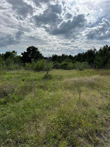 109 Pintail LN, Paige, TX 78659