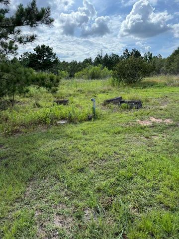 109 Pintail LN, Paige, TX 78659