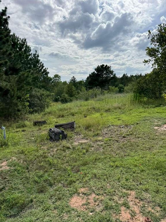 109 Pintail LN, Paige, TX 78659