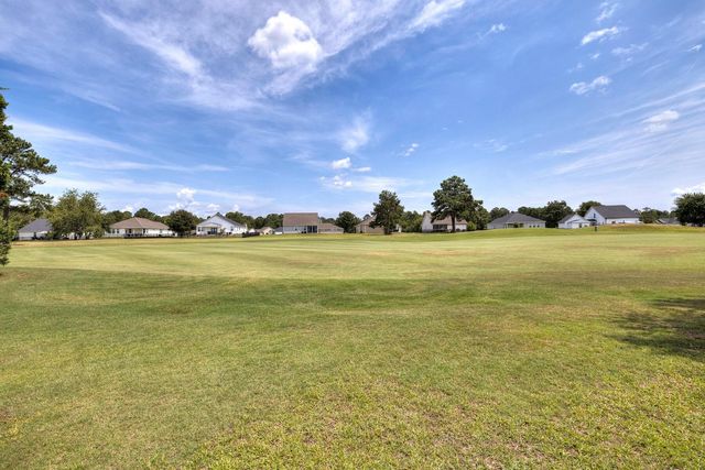 1482 Blue Heron Point, Manning, SC 29102