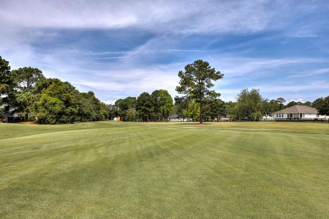 1482 Blue Heron Point, Manning, SC 29102