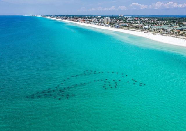 60 Sandprints Drive UNIT D11, Miramar Beach, FL 32550
