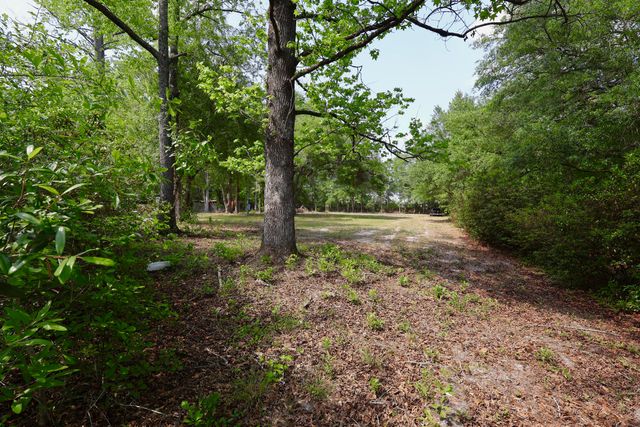 0 Mill Pond Road, Dorchester, SC 29437