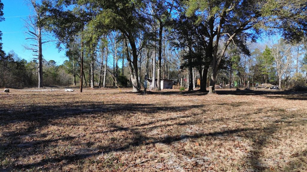 Image 2 of property listing at 0 Mill Pond Road, Dorchester, SC 29437