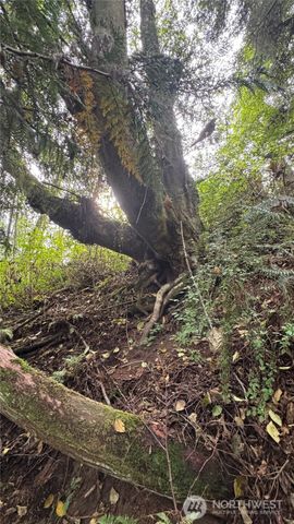0 Heggeness Road, Clinton, WA 98236