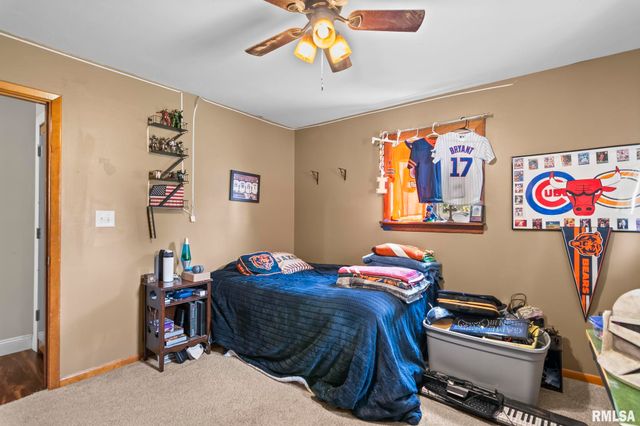 29 BIRCH Drive, Chatham, IL 62629