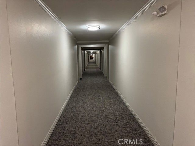 330 W California Boulevard 203, Pasadena, CA 91105