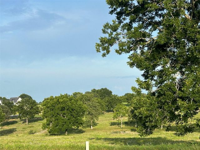 10549 Sunny Meadow Drive, Chappell Hill, TX 77426