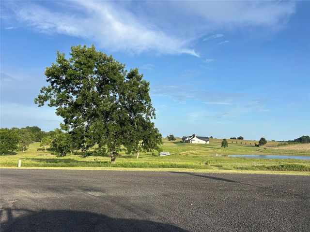 10549 Sunny Meadow Drive, Chappell Hill, TX 77426