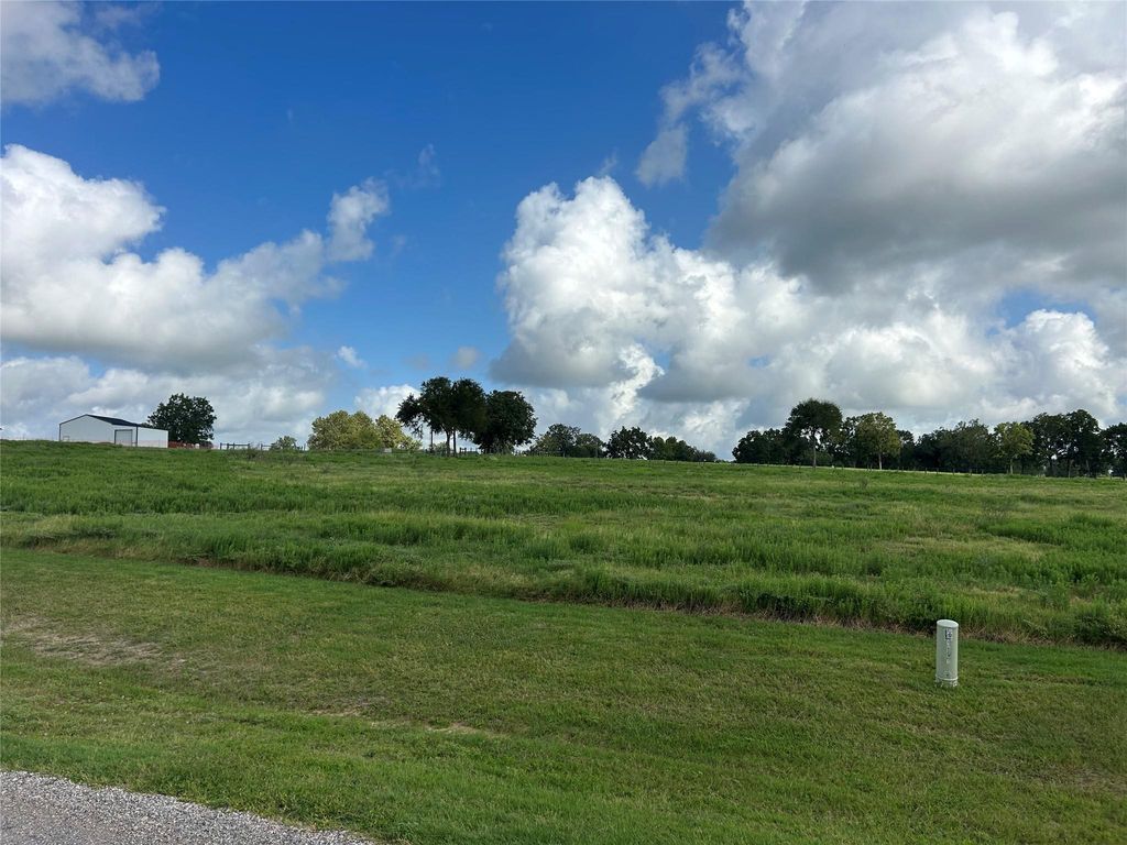 10549 Sunny Meadow Drive, Chappell Hill, TX 77426