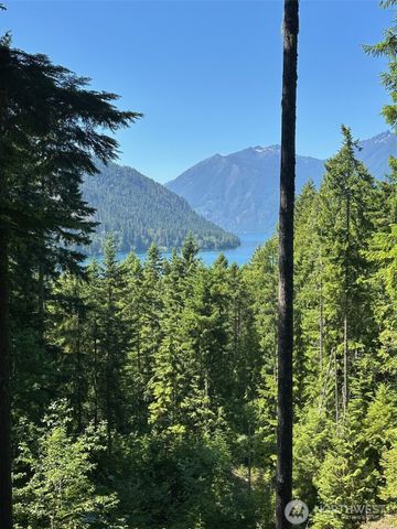 5156 N Lake Cushman Road, Hoodsport, WA 98548