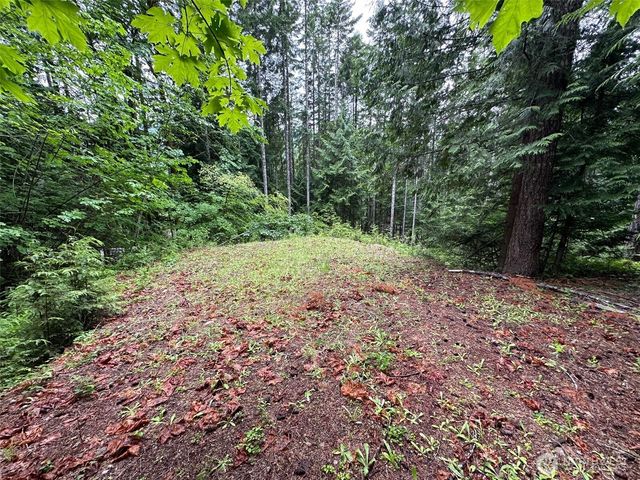 5156 N Lake Cushman Road, Hoodsport, WA 98548