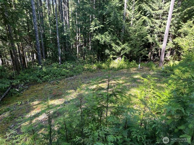 5156 N Lake Cushman Road, Hoodsport, WA 98548