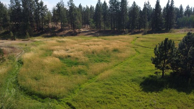 25106 W Carman Ln, Cheney, WA 99004