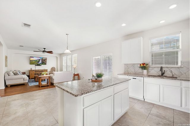 425 LANDMARK FLS, Cibolo, TX 78108