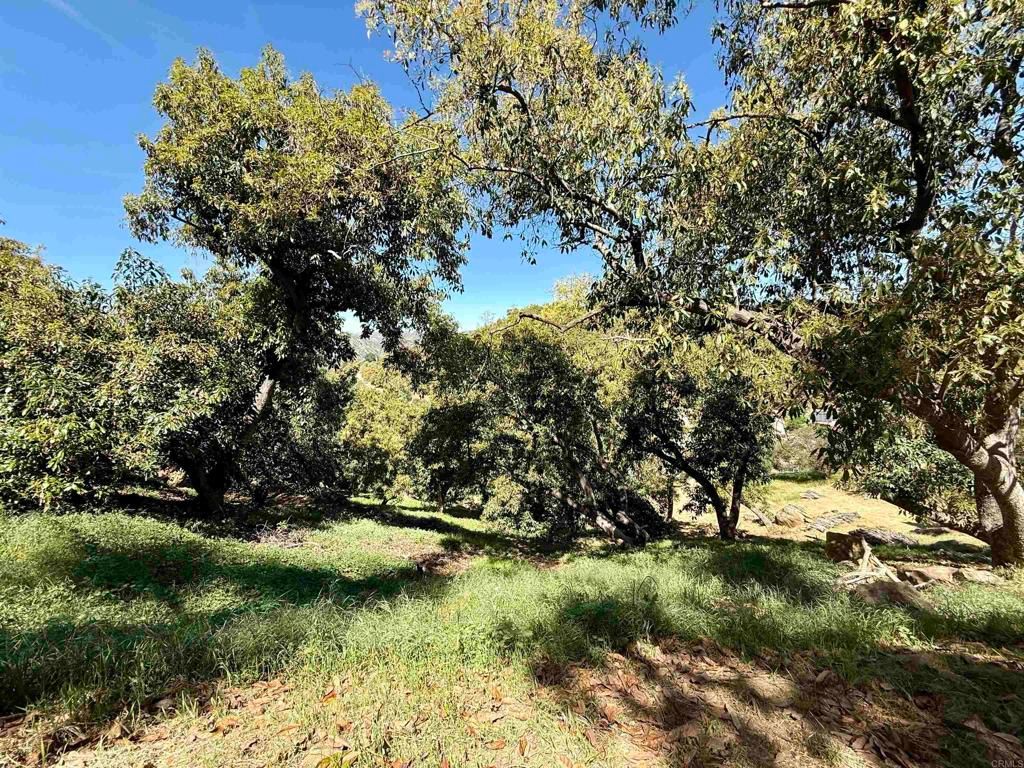 3160 Slivkoff Drive, Escondido, CA 92027 — photo 4