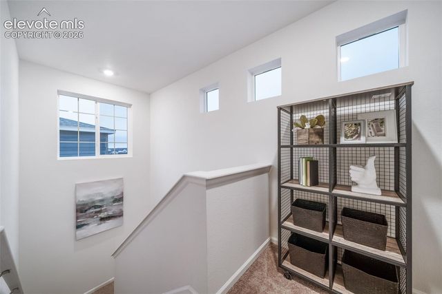 5787 Bowerman Lane, Colorado Springs, CO 80927