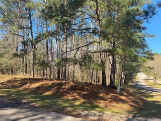 178 & 182 Twinstone Circle, Coldspring, TX 77331