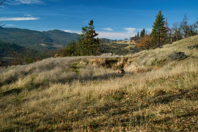 9463 E Antelope Road, Eagle Point, OR 97524