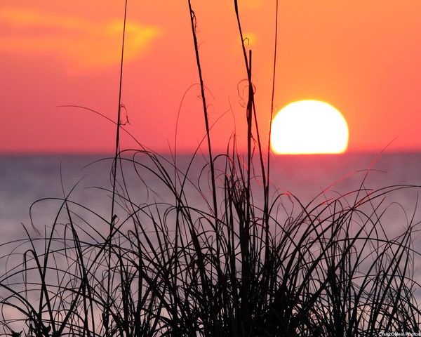 2242 Twin Fox Trail, St Augustine, FL 32086