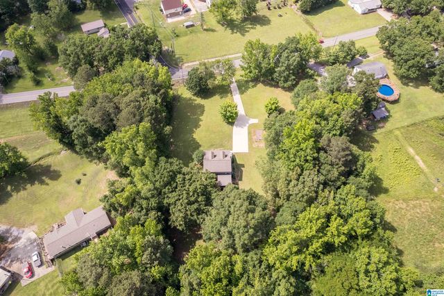 4780 WARRIOR JASPER ROAD, Dora, AL 35062