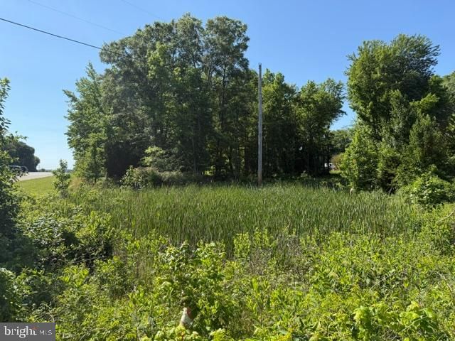 0 BUNKER HILL RD, Waldorf, MD 20601