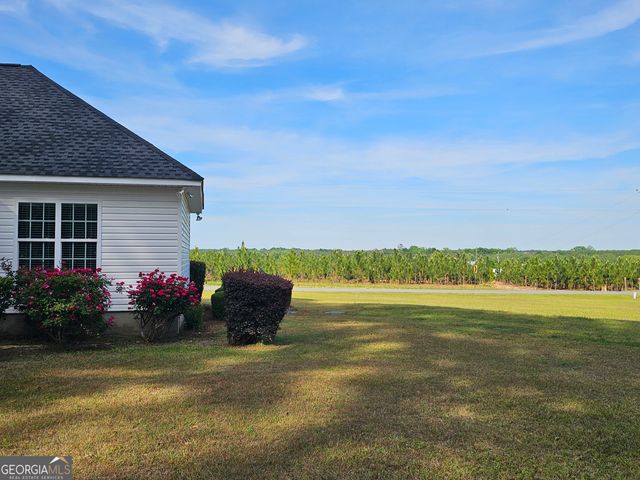176 Turner Lane, Dudley, GA 31022