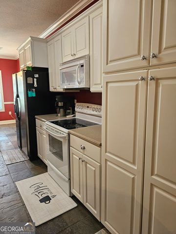 176 Turner Lane, Dudley, GA 31022