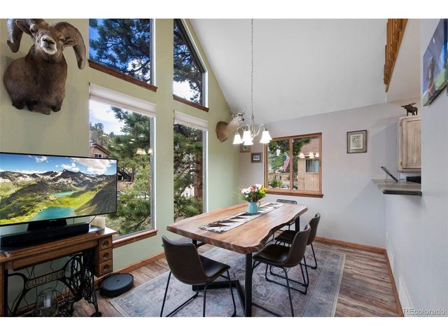 38 Buttermilk Ln, Bailey, CO 80421