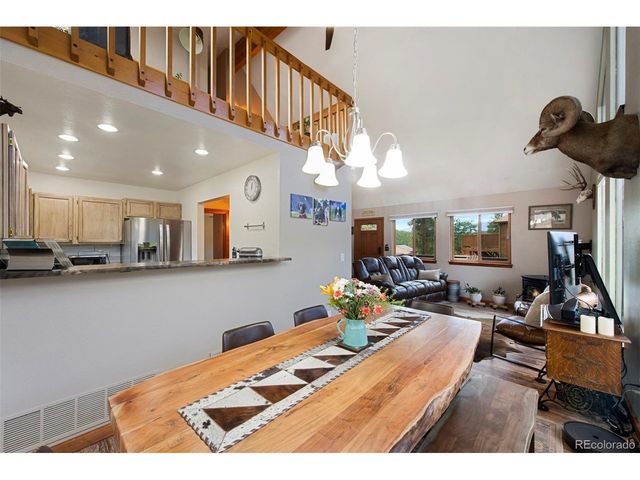 38 Buttermilk Ln, Bailey, CO 80421