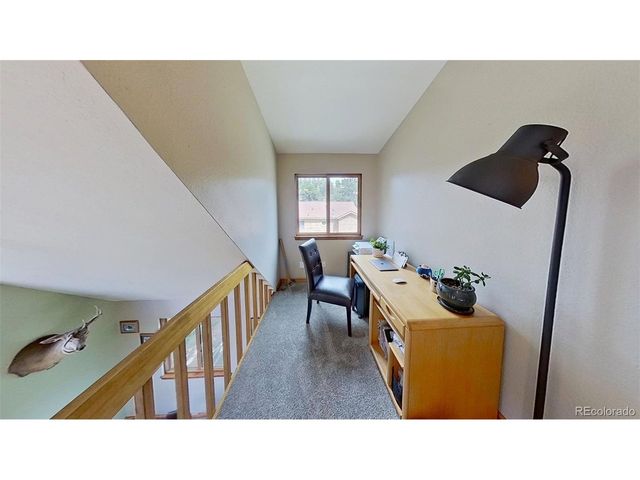 38 Buttermilk Ln, Bailey, CO 80421