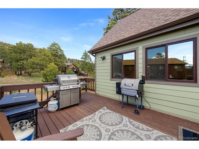 38 Buttermilk Ln, Bailey, CO 80421