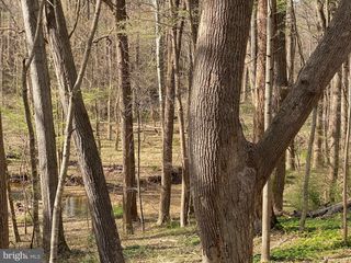 11800 GLEN MILL RD, Rockville, MD 20854