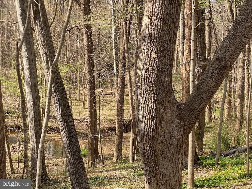 11800 GLEN MILL RD, Rockville, MD 20854