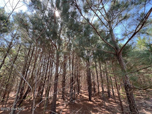 0 Old Washington Road, Washington, NC 27889
