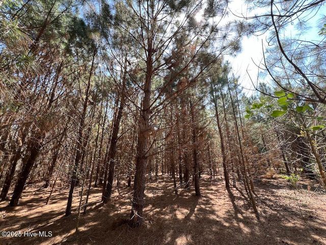 0 Old Washington Road, Washington, NC 27889