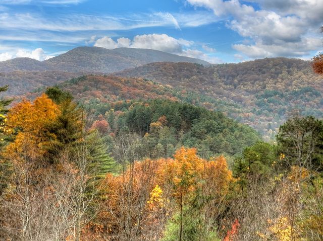 654 Stover Knob Trail, Cherry Log, GA 30522