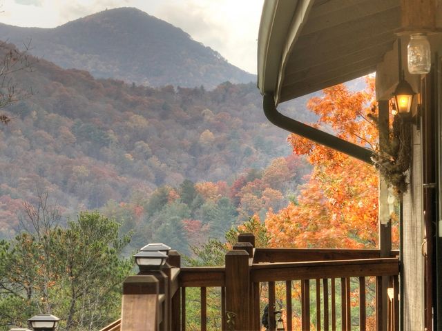 654 Stover Knob Trail, Cherry Log, GA 30522