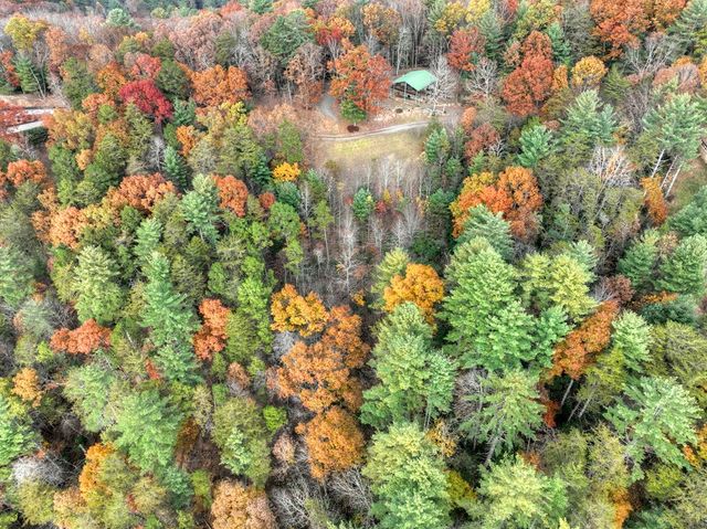 654 Stover Knob Trail, Cherry Log, GA 30522