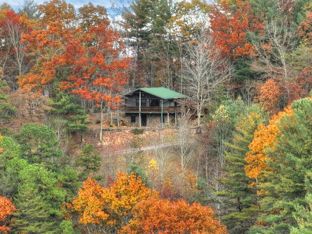 654 Stover Knob Trail, Cherry Log, GA 30522