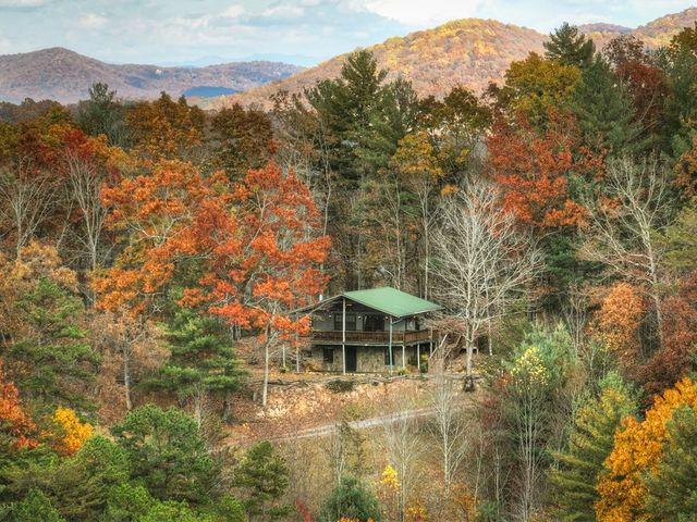 654 Stover Knob Trail, Cherry Log, GA 30522