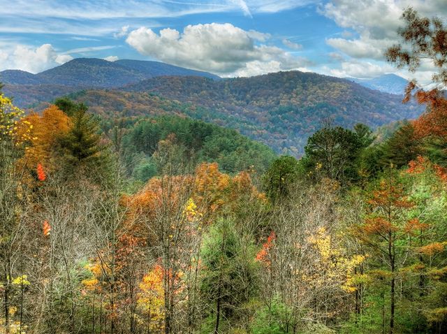 654 Stover Knob Trail, Cherry Log, GA 30522