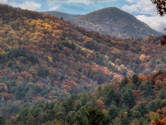 654 Stover Knob Trail, Cherry Log, GA 30522