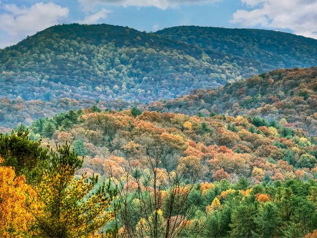 654 Stover Knob Trail, Cherry Log, GA 30522