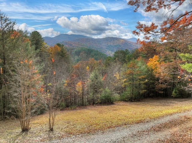 654 Stover Knob Trail, Cherry Log, GA 30522