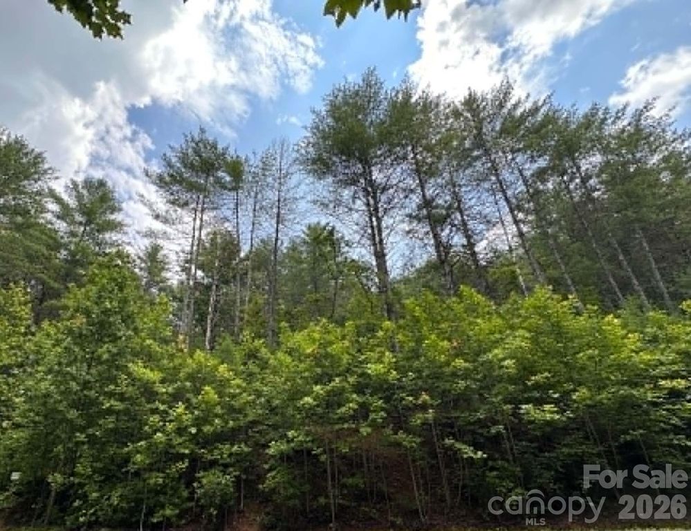 TBD Rock Cliff Drive, Collettsville, NC 28611