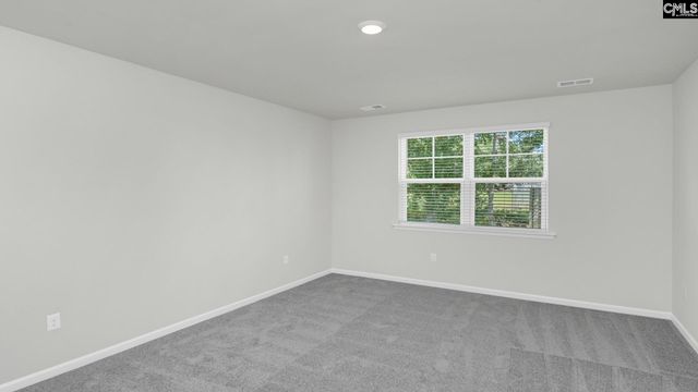 329 Babcock Way, Gilbert, SC 29054