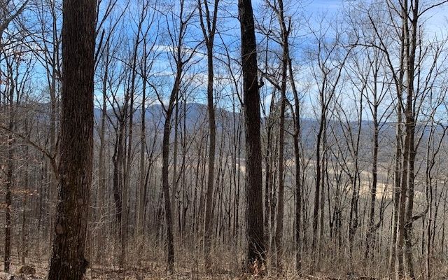 Lot 2 Rocky Knob Estates, Young Harris, GA 30582